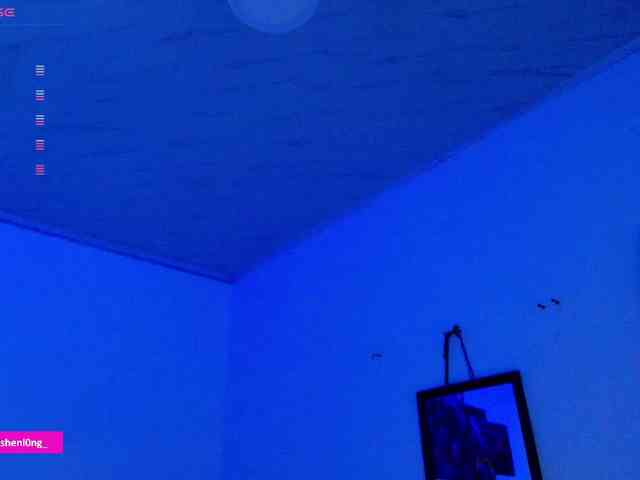 Nicorobin webcam