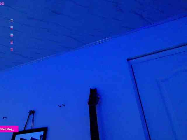 Nicorobin webcam