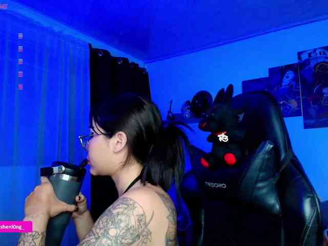 Nicorobin webcam