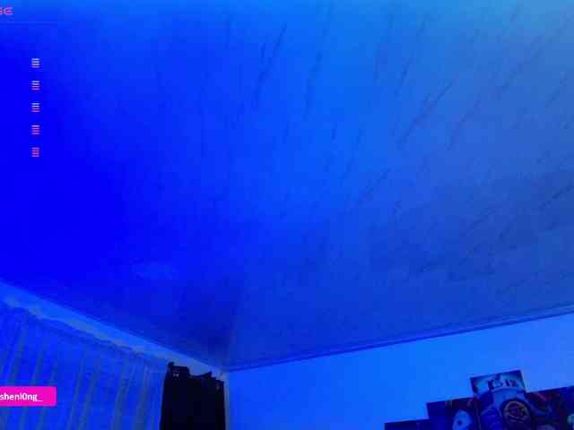 Nicorobin webcam