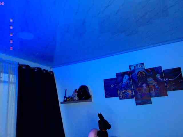 Nicorobin webcam