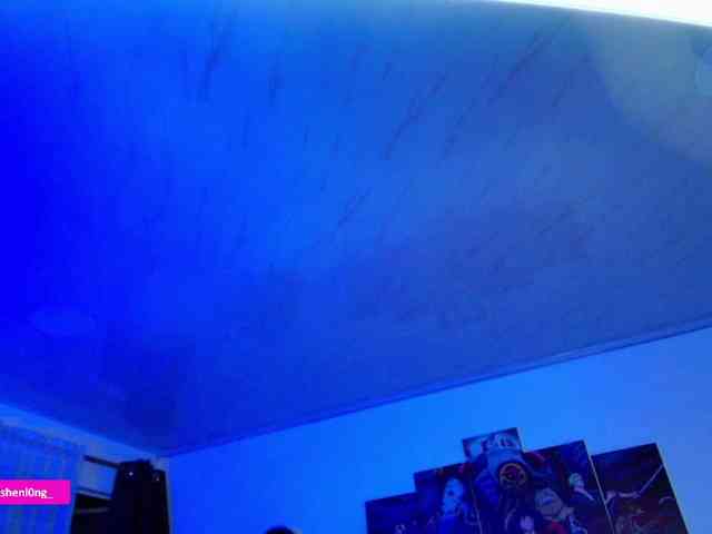 Nicorobin webcam