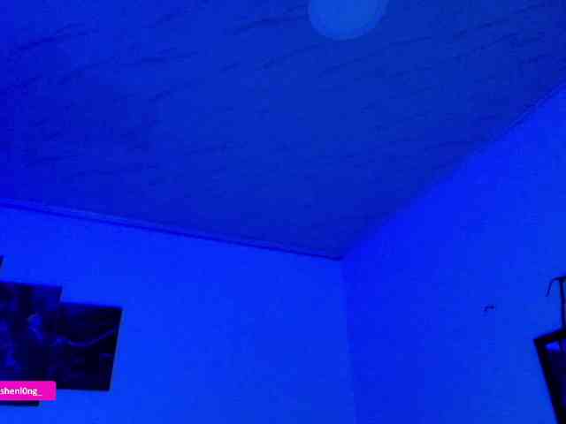 Nicorobin webcam