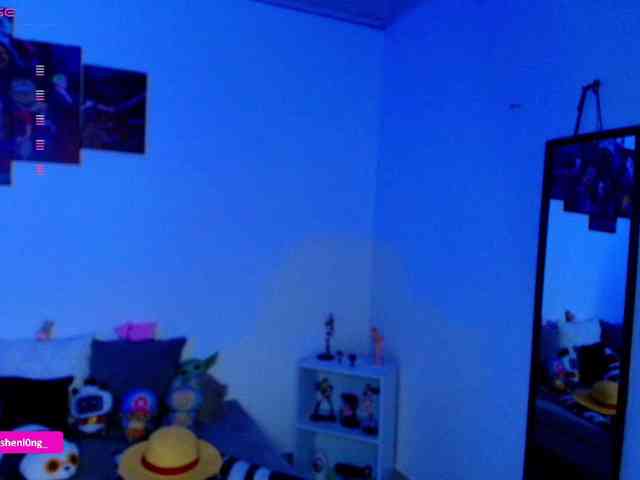 Nicorobin webcam