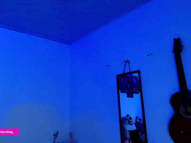 Nicorobin webcam