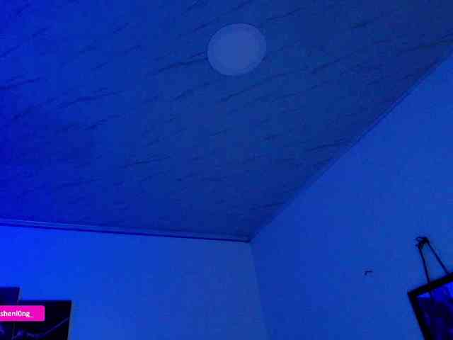 Nicorobin webcam