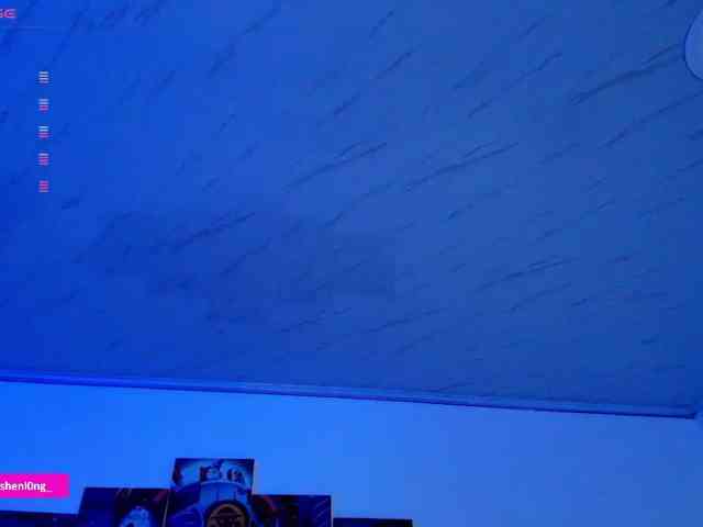 Nicorobin webcam