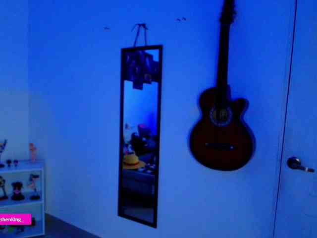 Nicorobin webcam