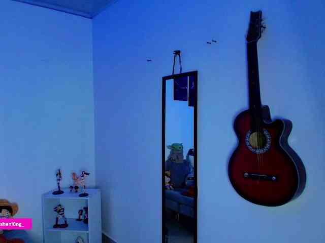 Nicorobin webcam