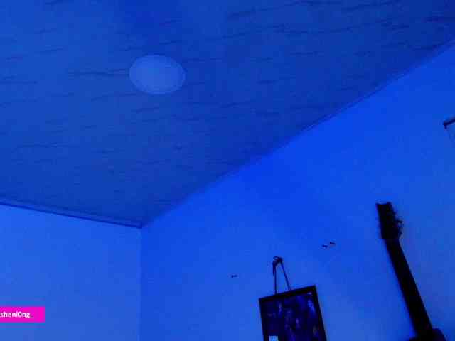 Nicorobin webcam