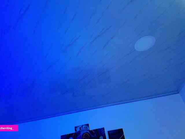 Nicorobin webcam