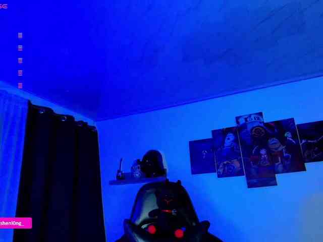 Nicorobin webcam