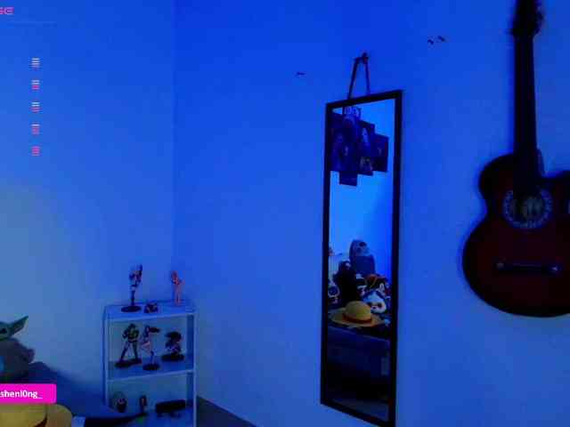 Nicorobin webcam
