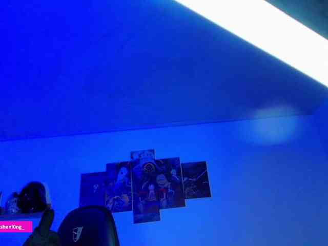 Nicorobin webcam