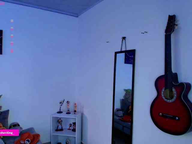 Nicorobin webcam