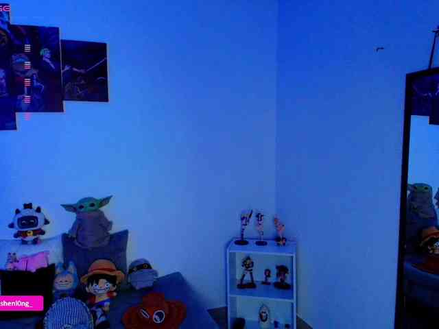 Nicorobin webcam