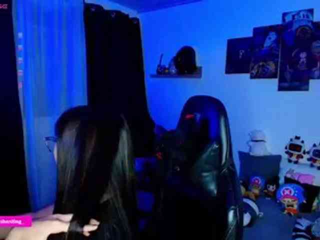 Nicorobin webcam