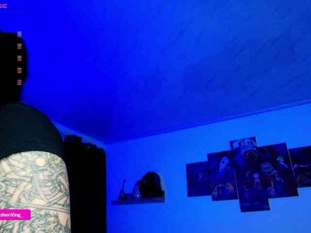 Nicorobin webcam