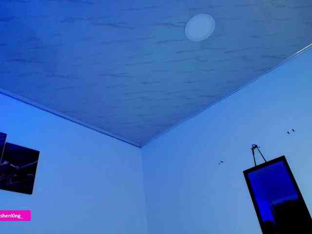 Nicorobin webcam