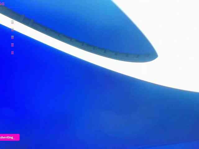 Nicorobin webcam