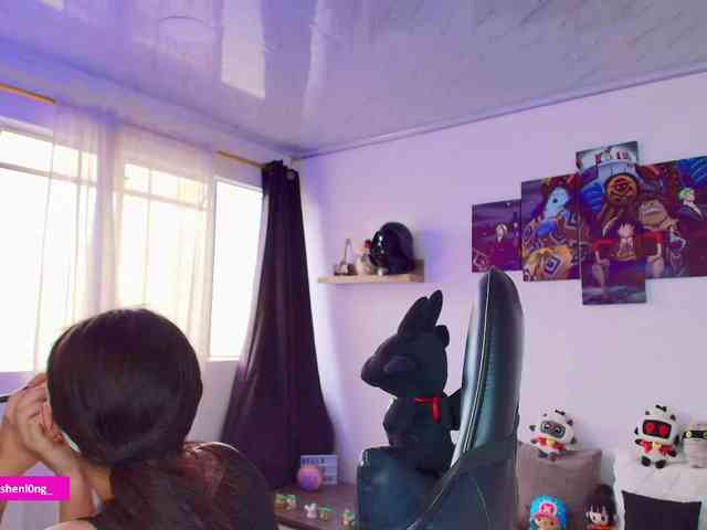Nicorobin webcam