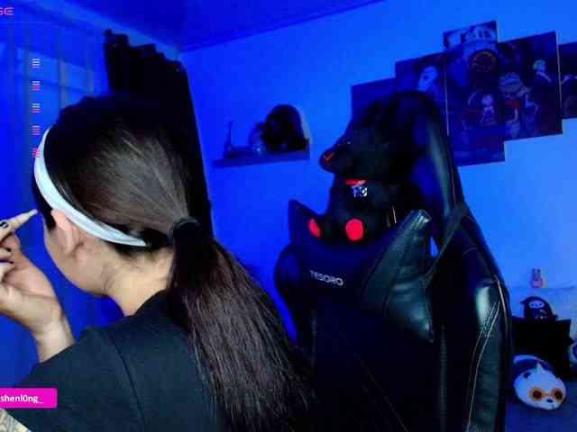 Nicorobin webcam
