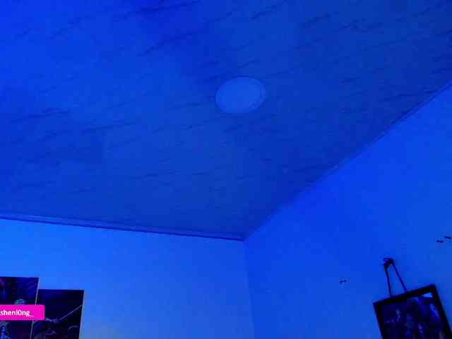 Nicorobin webcam