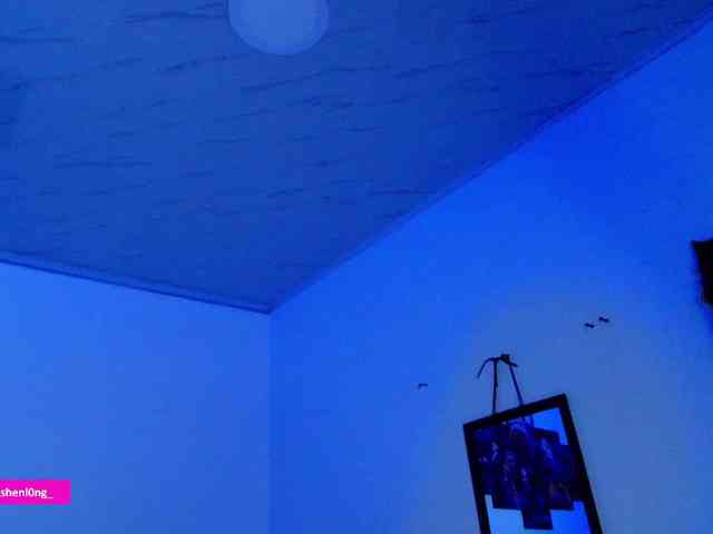 Nicorobin webcam