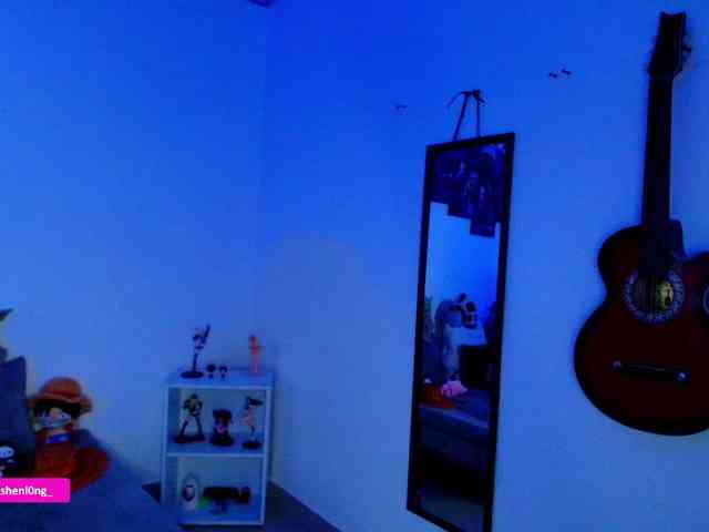 Nicorobin webcam