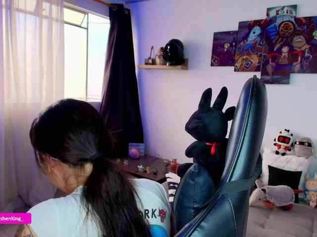 Nicorobin webcam