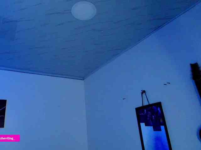 Nicorobin webcam