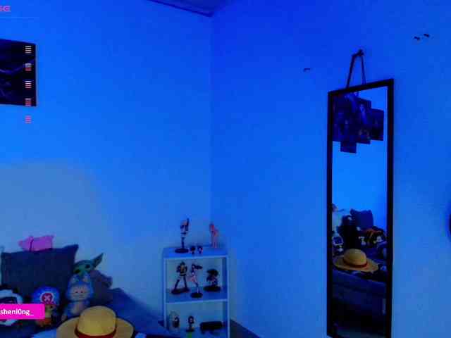 Nicorobin webcam