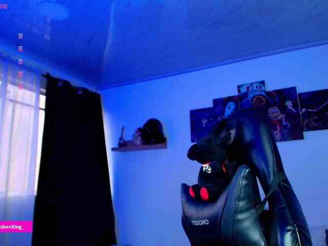 Nicorobin webcam