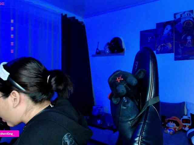 Nicorobin webcam