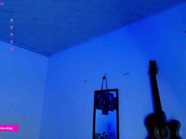 Nicorobin webcam
