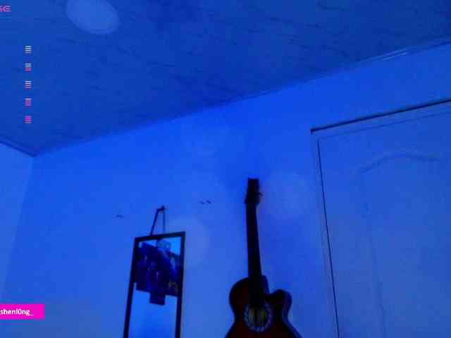 Nicorobin webcam