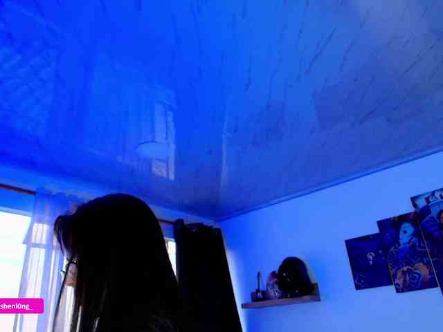 Nicorobin webcam