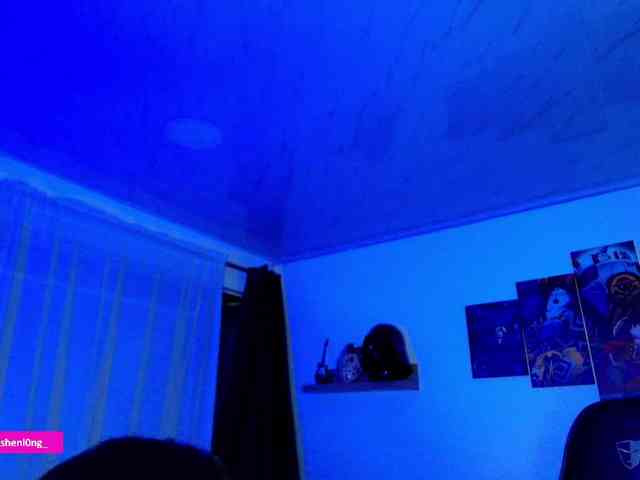 Nicorobin webcam