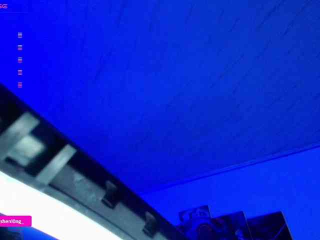 Nicorobin webcam