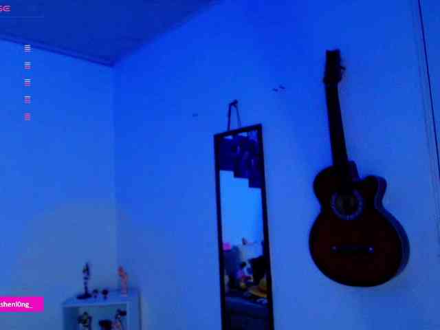 Nicorobin webcam