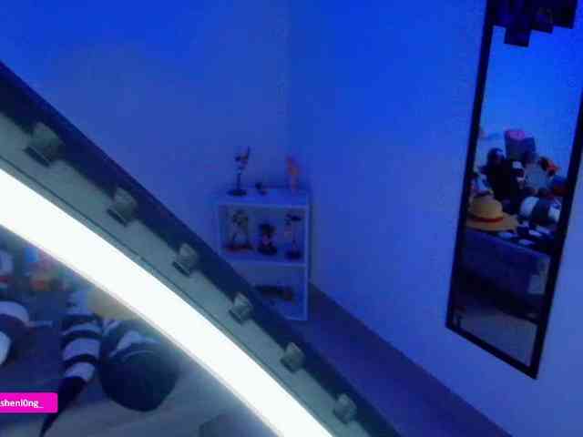 Nicorobin webcam