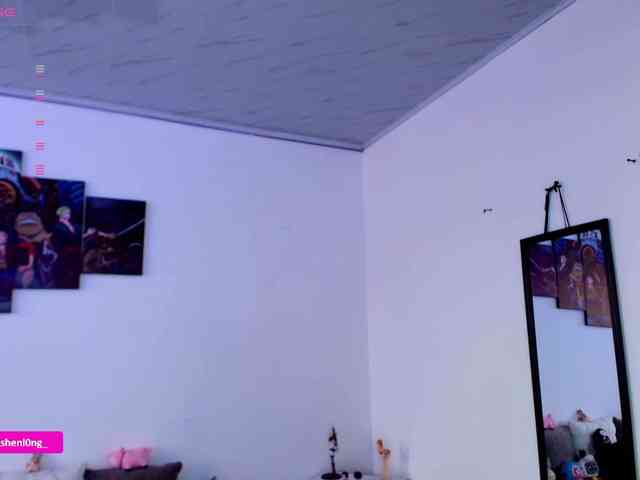 Nicorobin webcam