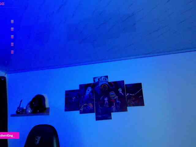 Nicorobin webcam