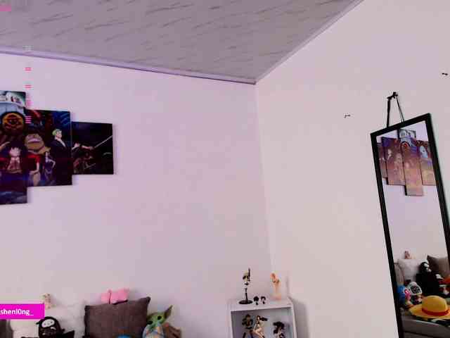 Nicorobin webcam