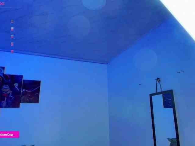 Nicorobin webcam