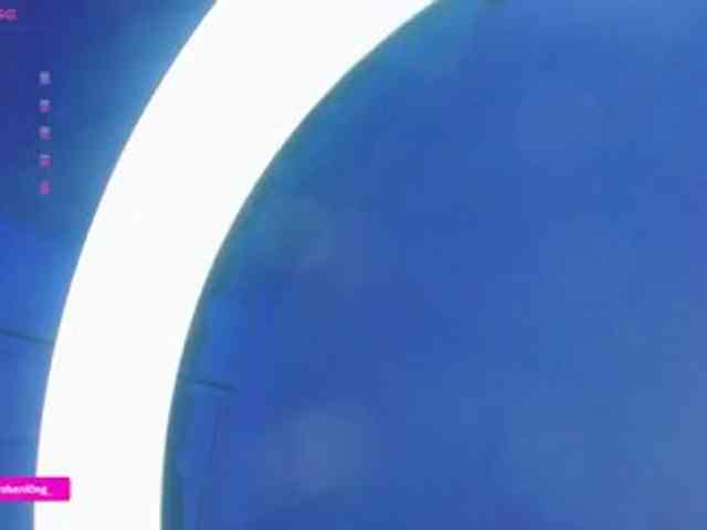 Nicorobin webcam