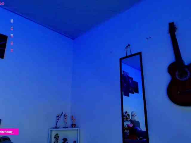 Nicorobin webcam
