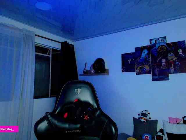Nicorobin webcam
