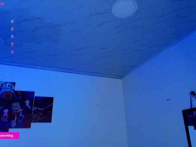 Nicorobin webcam