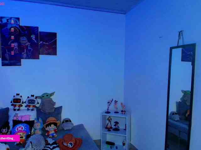 Nicorobin webcam